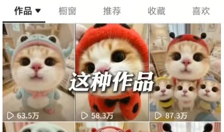 175509ooto5cceshhocmic.jpg